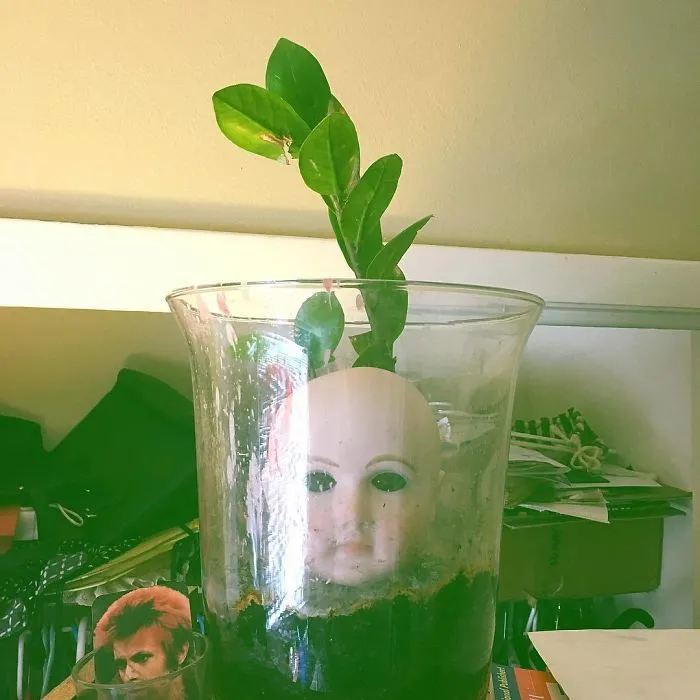 145 People Who Turned Old Dolls Into Planters And Scared The Hell Out Of Their Neighbors