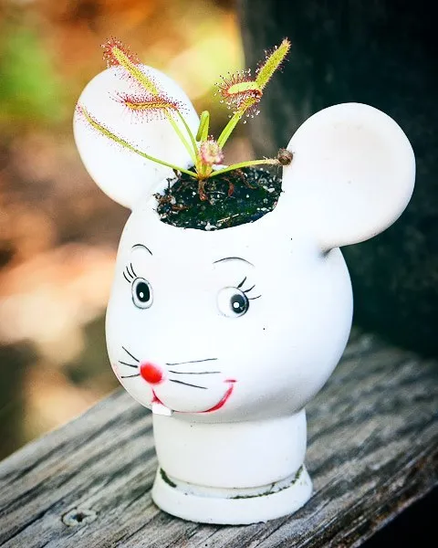 145 People Who Turned Old Dolls Into Planters And Scared The Hell Out Of Their Neighbors