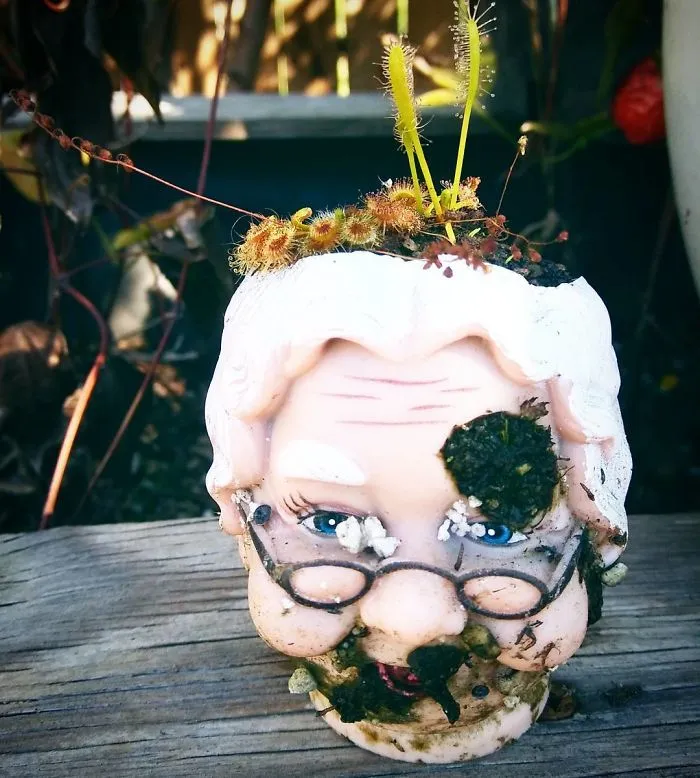 145 People Who Turned Old Dolls Into Planters And Scared The Hell Out Of Their Neighbors