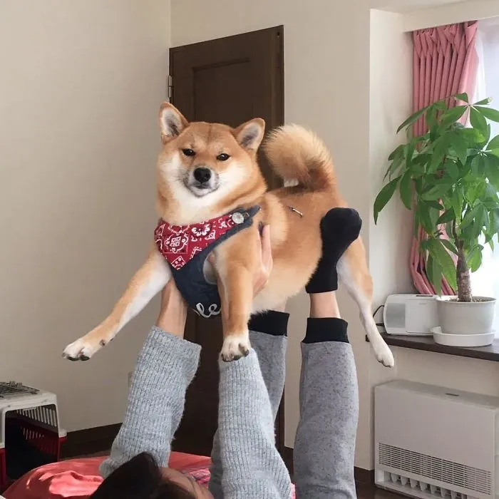 I'm Tired Of This "Couple's Yoga" Thing Karen