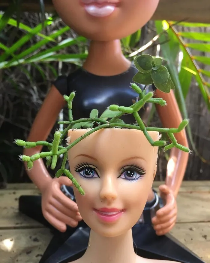 145 People Who Turned Old Dolls Into Planters And Scared The Hell Out Of Their Neighbors
