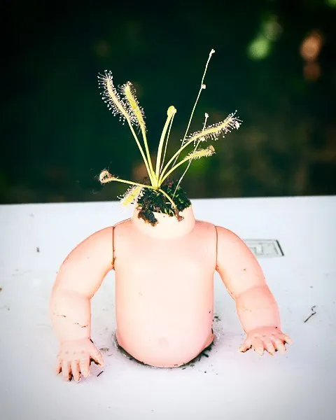 145 People Who Turned Old Dolls Into Planters And Scared The Hell Out Of Their Neighbors