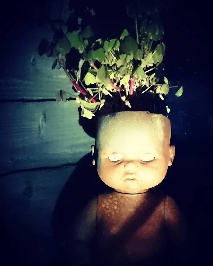 145 People Who Turned Old Dolls Into Planters And Scared The Hell Out Of Their Neighbors