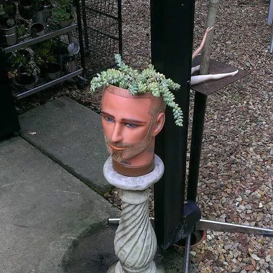 145 People Who Turned Old Dolls Into Planters And Scared The Hell Out Of Their Neighbors