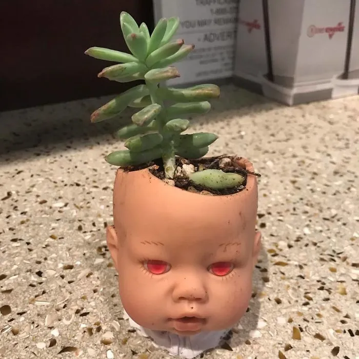145 People Who Turned Old Dolls Into Planters And Scared The Hell Out Of Their Neighbors