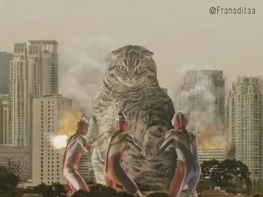 This Guy Photoshops Cats Into Giants And The Result Is Meow-nificent