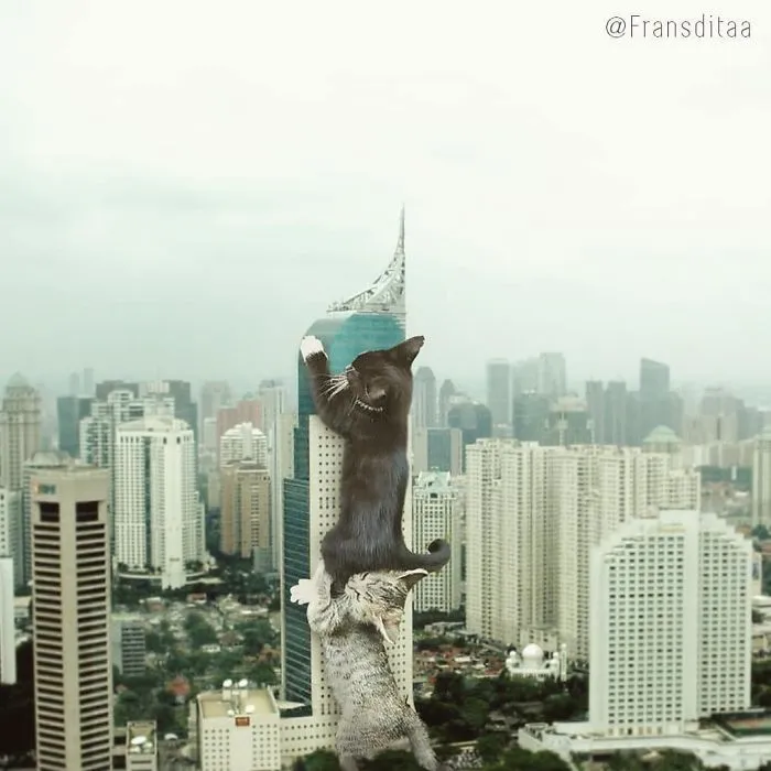 This Guy Photoshops Cats Into Giants And The Result Is Meow-nificent