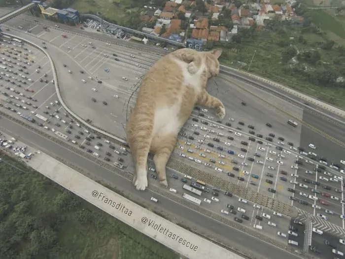 This Guy Photoshops Cats Into Giants And The Result Is Meow-nificent