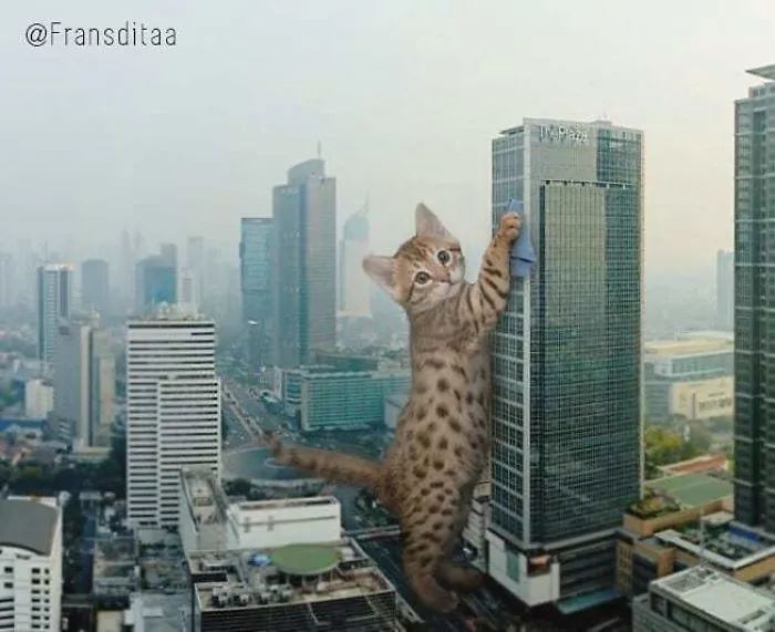 This Guy Photoshops Cats Into Giants And The Result Is Meow-nificent