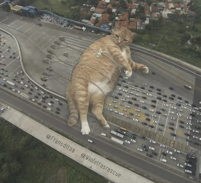 This Guy Photoshops Cats Into Giants And The Result Is Meow-nificent
