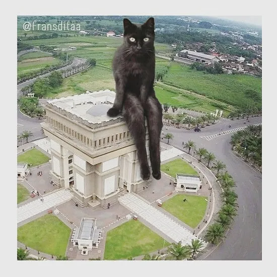 This Guy Photoshops Cats Into Giants And The Result Is Meow-nificent