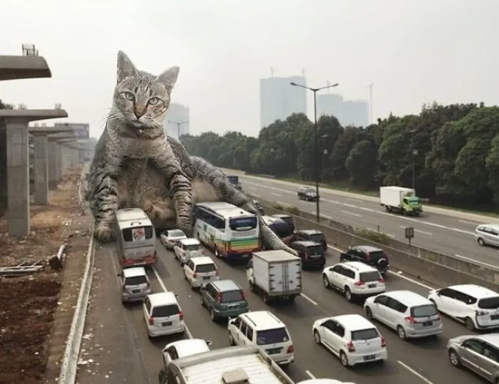 This Guy Photoshops Cats Into Giants And The Result Is Meow-nificent