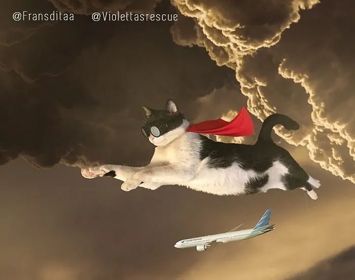 This Guy Photoshops Cats Into Giants And The Result Is Meow-nificent
