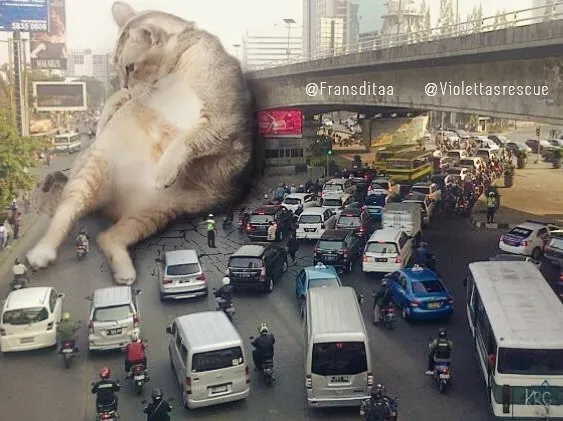 This Guy Photoshops Cats Into Giants And The Result Is Meow-nificent