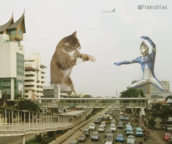 This Guy Photoshops Cats Into Giants And The Result Is Meow-nificent