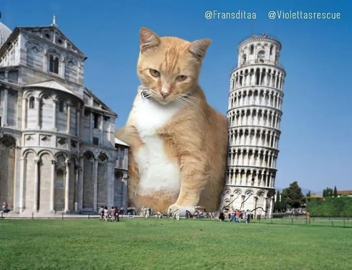This Guy Photoshops Cats Into Giants And The Result Is Meow-nificent