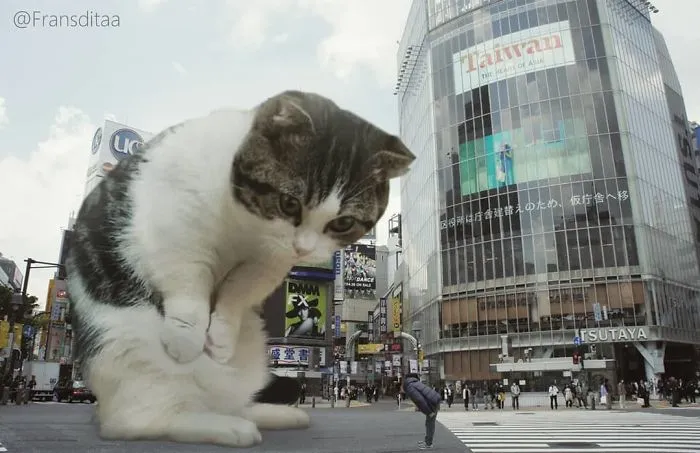 This Guy Photoshops Cats Into Giants And The Result Is Meow-nificent