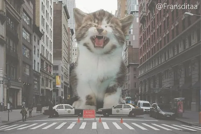 This Guy Photoshops Cats Into Giants And The Result Is Meow-nificent
