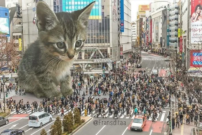 This Guy Photoshops Cats Into Giants And The Result Is Meow-nificent