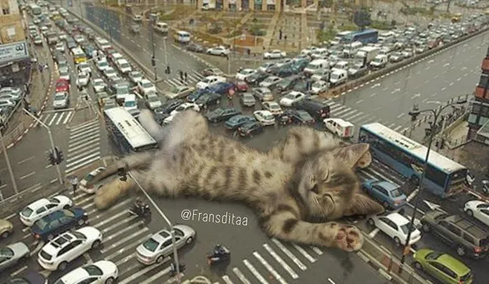 This Guy Photoshops Cats Into Giants And The Result Is Meow-nificent