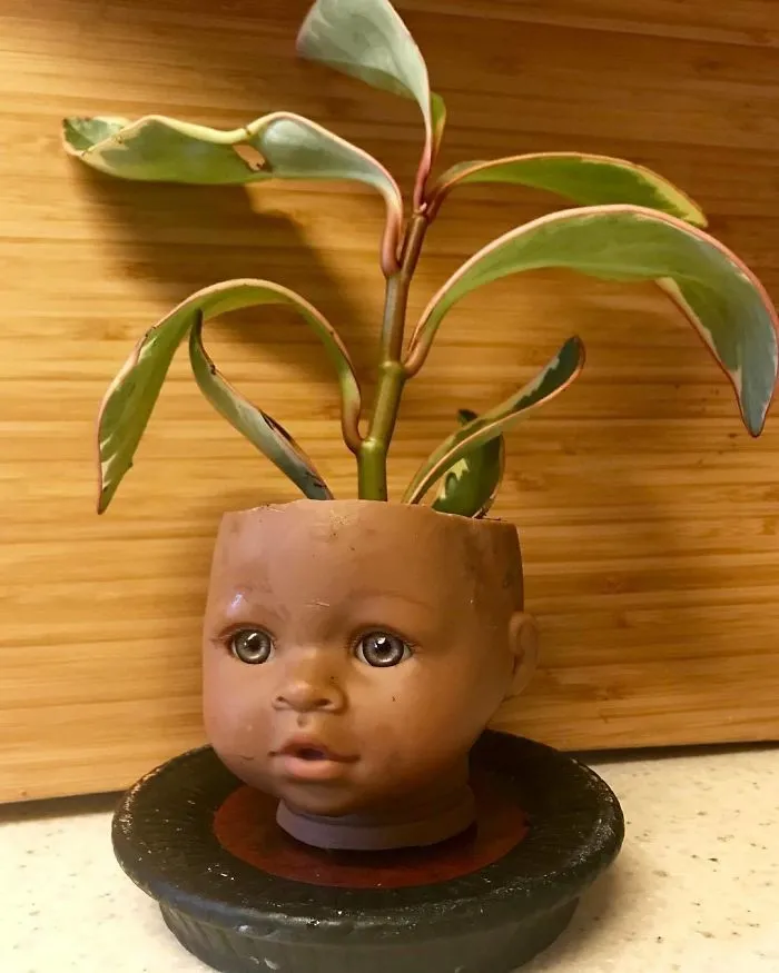 145 People Who Turned Old Dolls Into Planters And Scared The Hell Out Of Their Neighbors