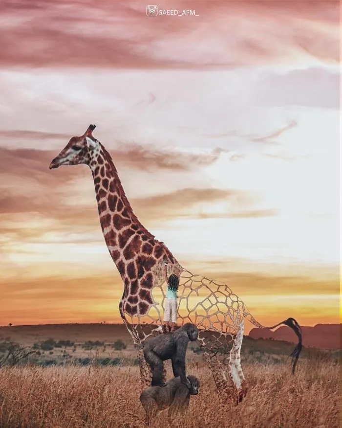 Iranian Artist Creates Surreal Worlds With The Help Of Photoshop