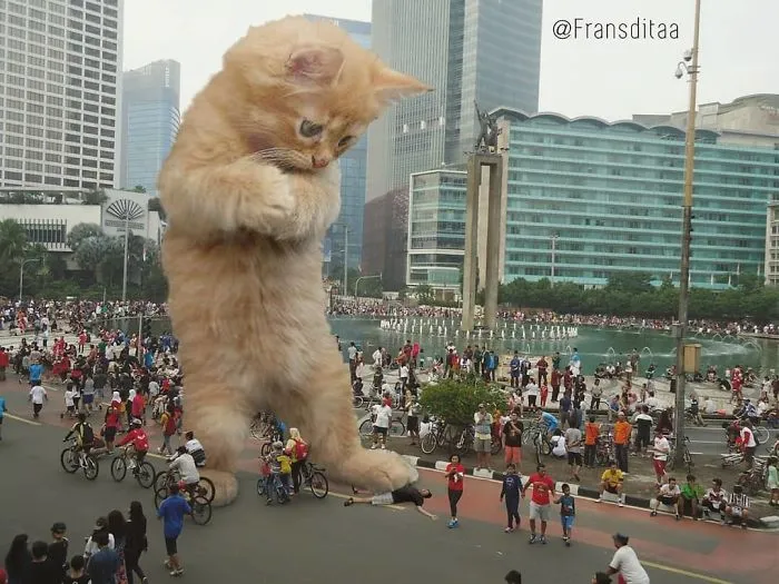 Giant Cat Edit