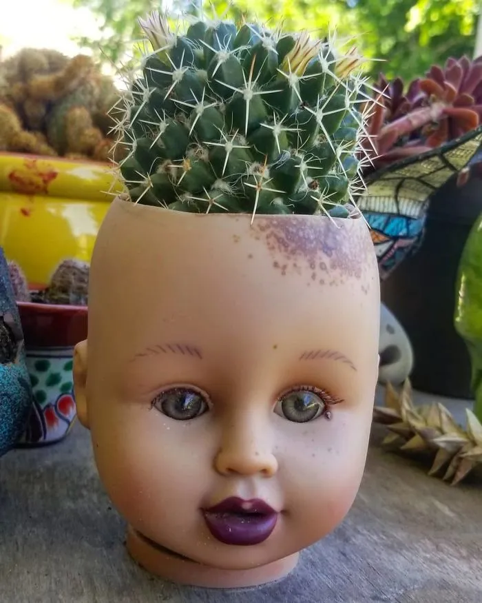 145 People Who Turned Old Dolls Into Planters And Scared The Hell Out Of Their Neighbors