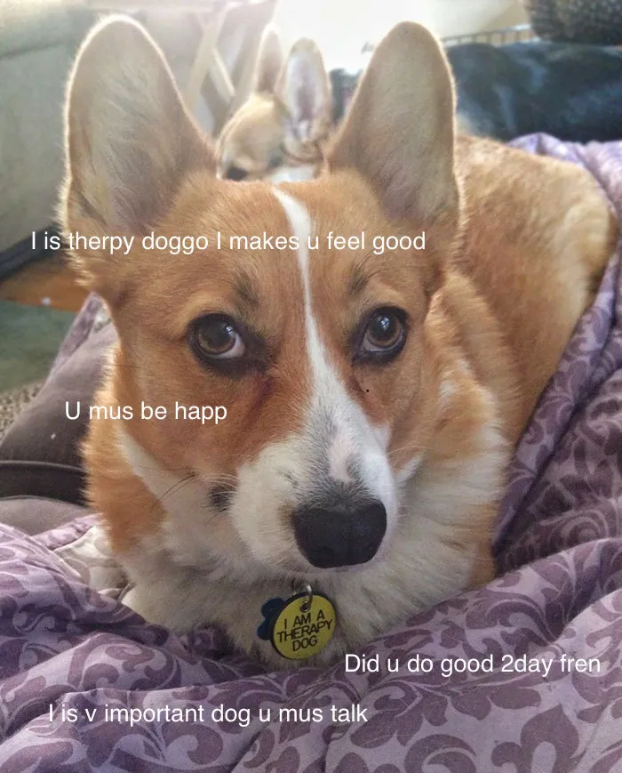 I Made These Pictures With The Sweet Dog Post And I Hope They'll Brighten Your Day