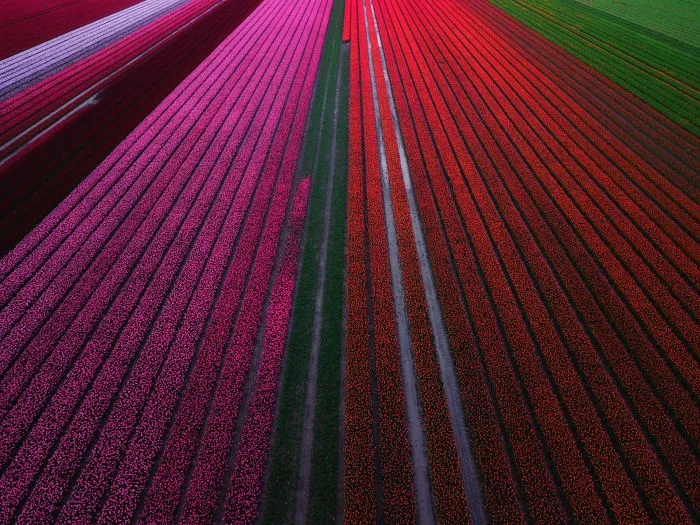 Another Photo With The Drone, Playing With Lines And Colours. These Look Like Racetracks