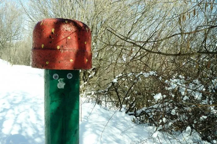 I Bring Bulgarian Streets To Life By Putting Googly Eyes On Random Objects