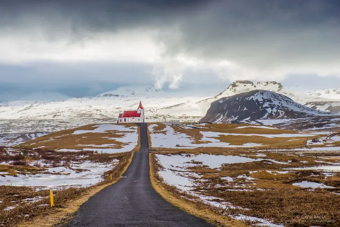 Road To The Light