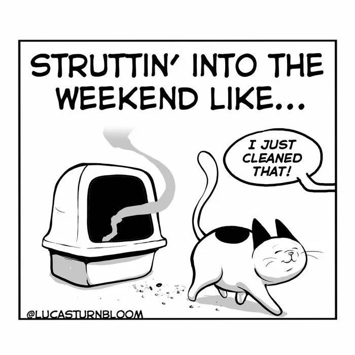My Wife Insisted Me To Put These Comics On The Internet - They're About A Cat We Rescued A Few Months Ago