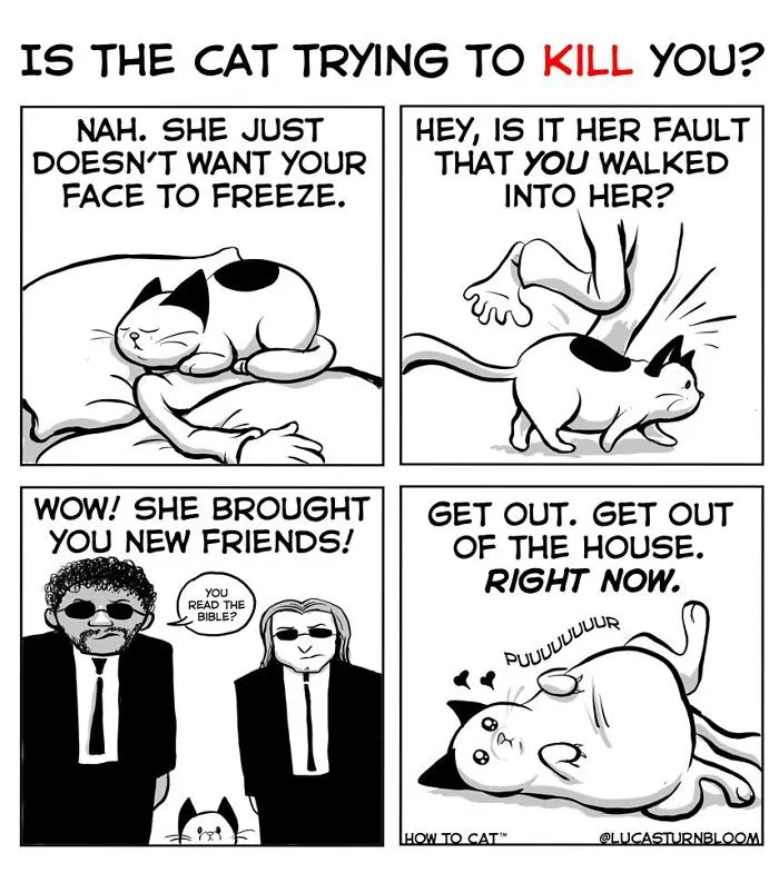 My Wife Insisted Me To Put These Comics On The Internet - They're About A Cat We Rescued A Few Months Ago