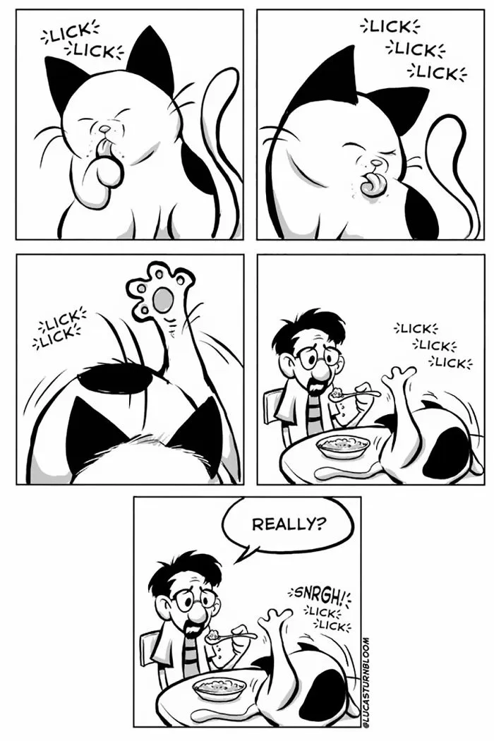 My Wife Insisted Me To Put These Comics On The Internet - They're About A Cat We Rescued A Few Months Ago