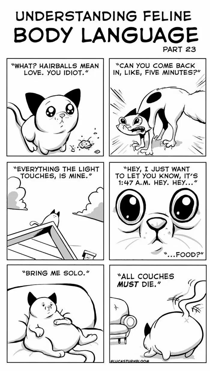 My Wife Insisted Me To Put These Comics On The Internet - They're About A Cat We Rescued A Few Months Ago