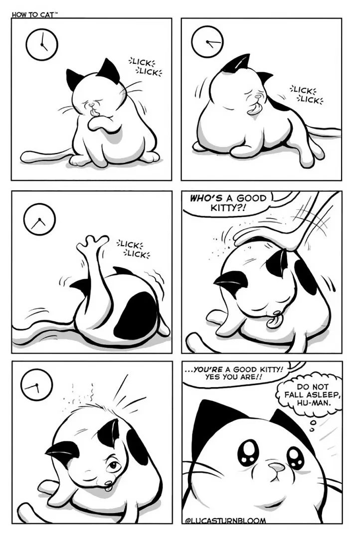My Wife Insisted Me To Put These Comics On The Internet - They're About A Cat We Rescued A Few Months Ago