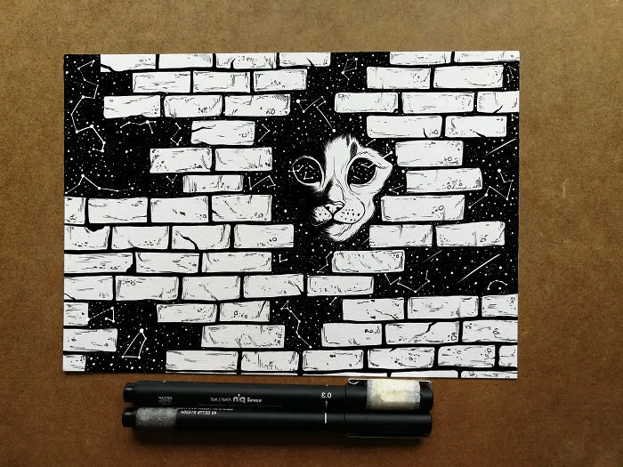 Hidden Galaxy