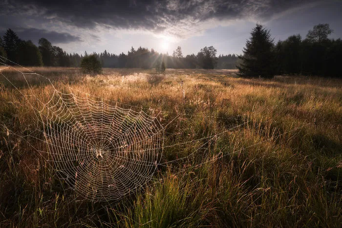 30 Landscape Pictures I Took While Traveling