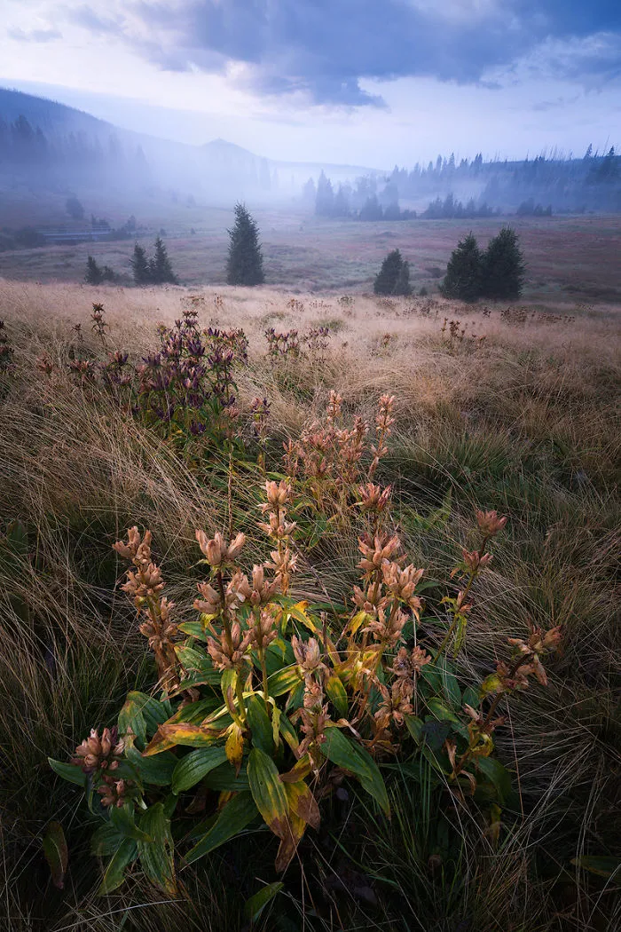 30 Landscape Pictures I Took While Traveling