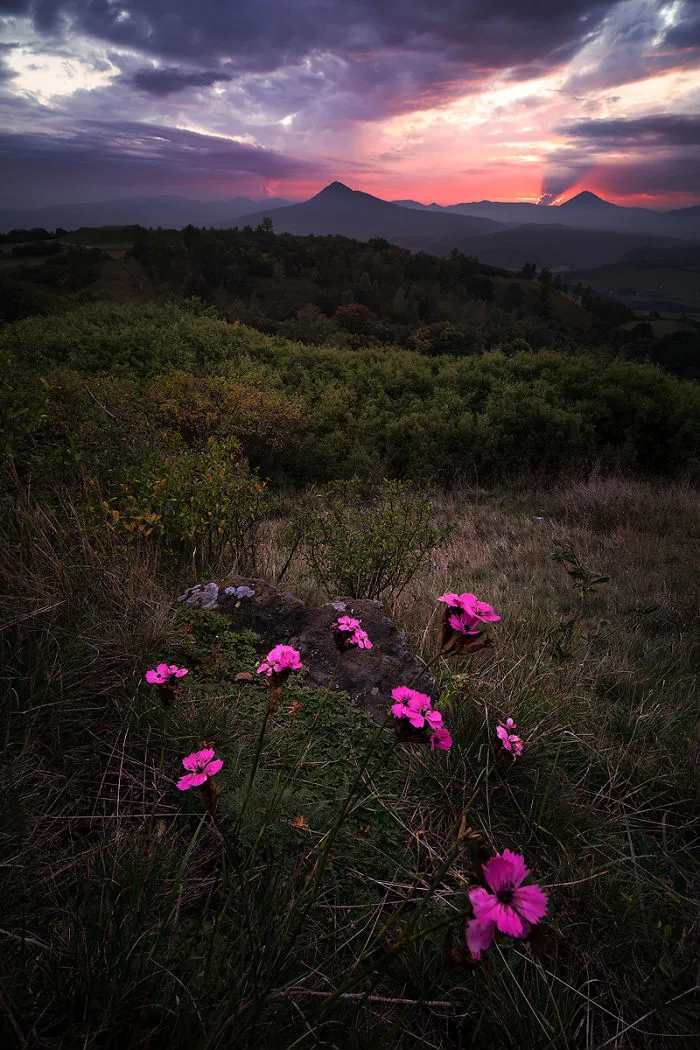 30 Landscape Pictures I Took While Traveling