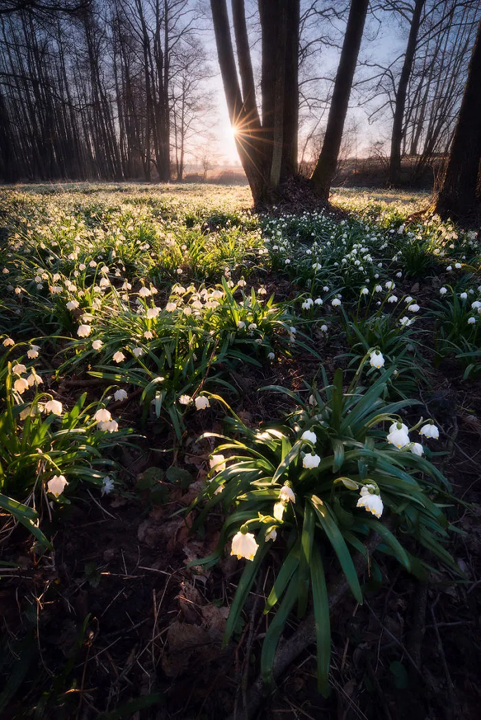 30 Landscape Pictures I Took While Traveling