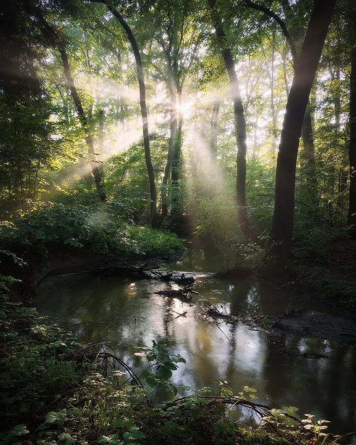 30 Landscape Pictures I Took While Traveling