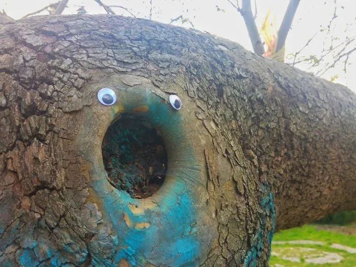I Bring Bulgarian Streets To Life By Putting Googly Eyes On Random Objects