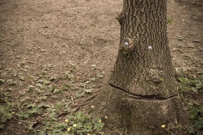 I Bring Bulgarian Streets To Life By Putting Googly Eyes On Random Objects
