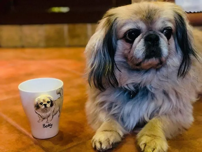I Create 3D Sculptures Of People's Pets On Mugs Completely By Hand