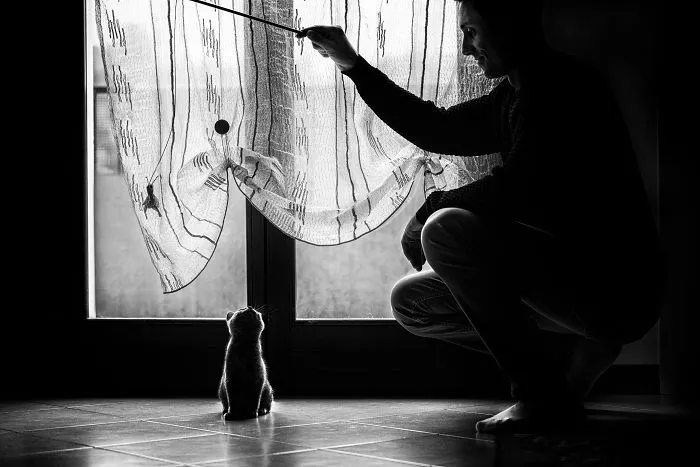 Playing With Daddy