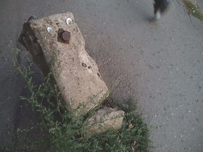 I Bring Bulgarian Streets To Life By Putting Googly Eyes On Random Objects