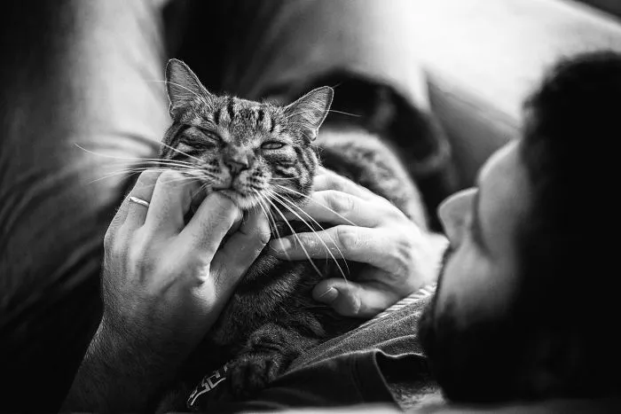 Chin Scratches Are The Best, Dad... Purrr Purrrr