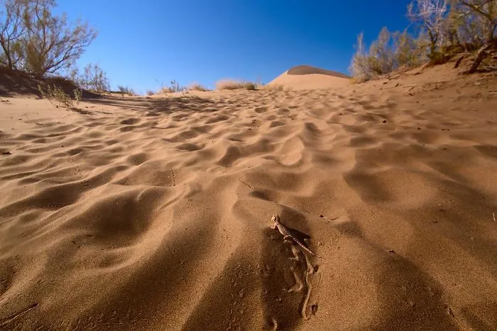 More Than Three-Quarters Of Kazakhstan Is Either Semi-Dessert Or Dessert, Where No People Live